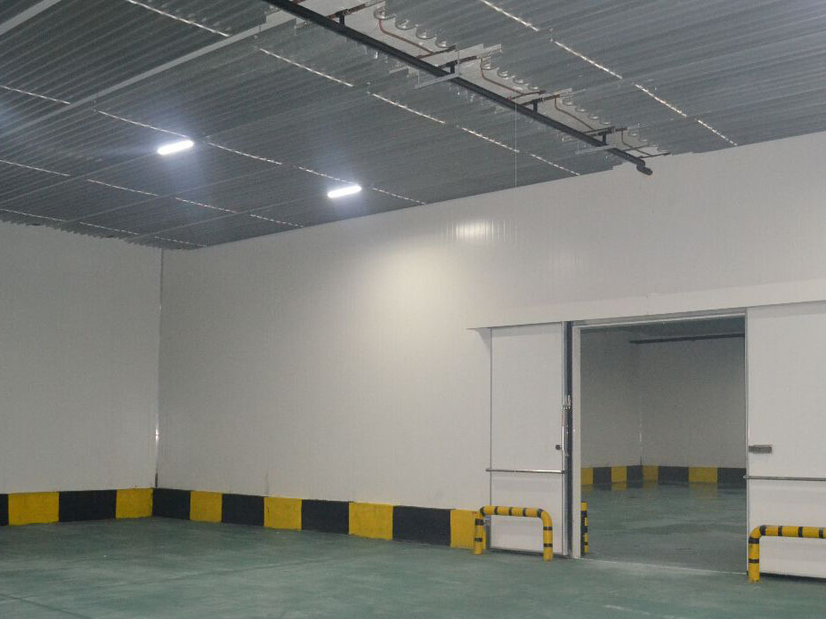 果蔬氣調保鮮冷庫案例